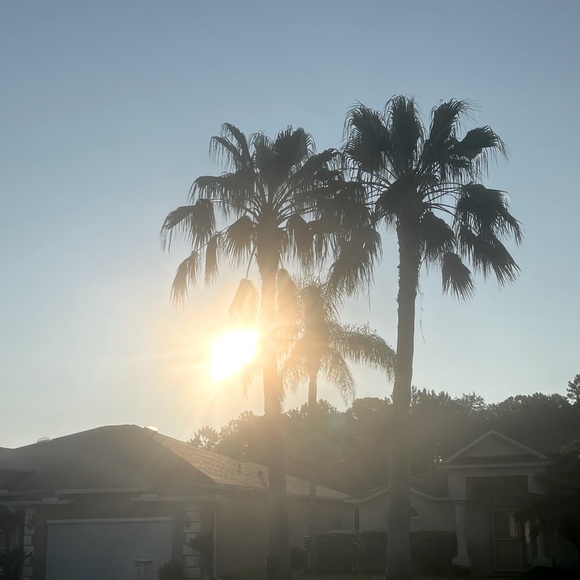 Meet your Posher, Maryann - Picture 1 of 1